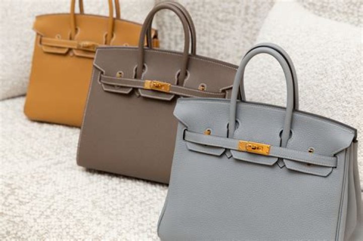 Chelsea Lazkanis' Birkin Bag Price (Cost)!